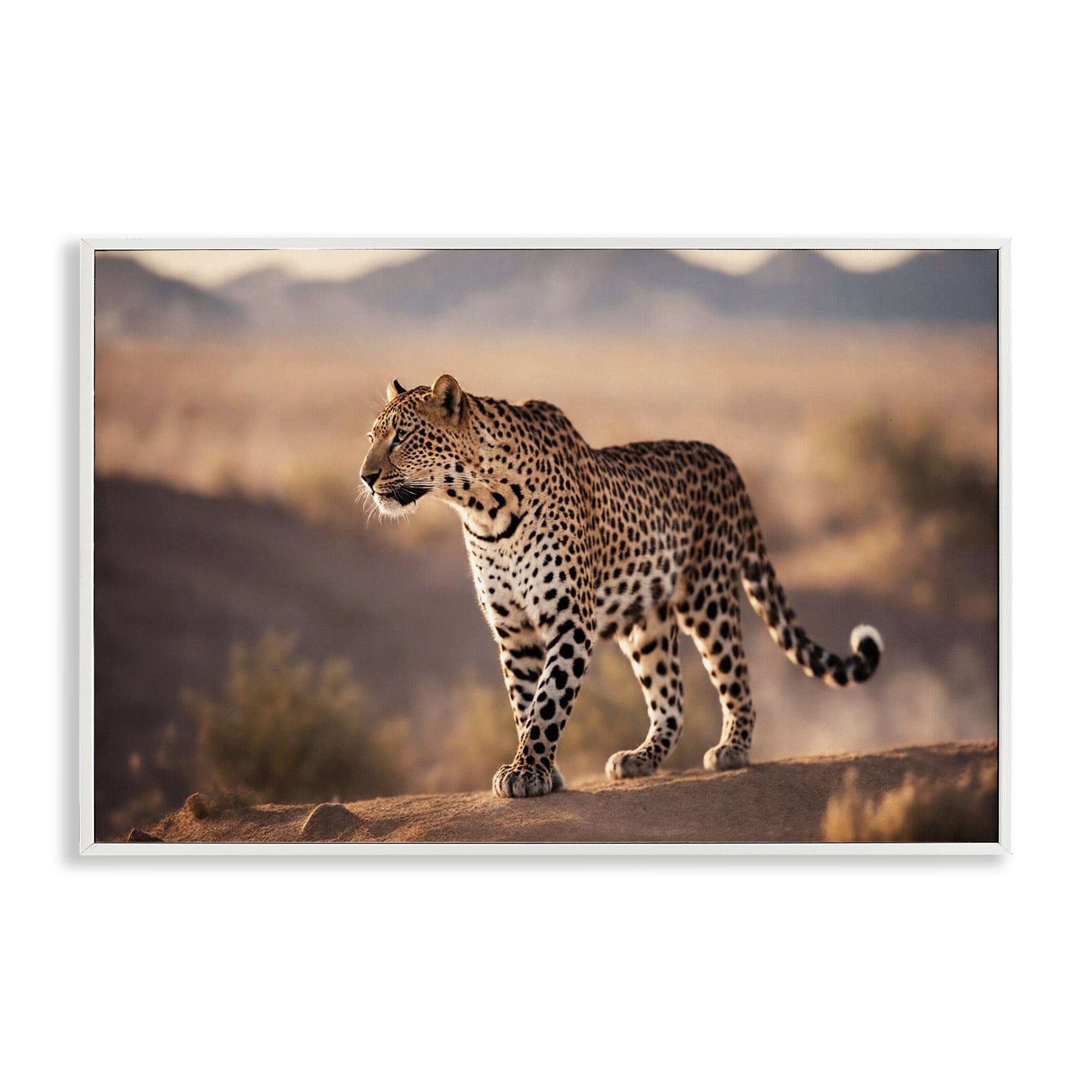 Stupell Industries Cheetah On Patrol Animals Photography White Framed Art Print Wall Art, 18 x 12