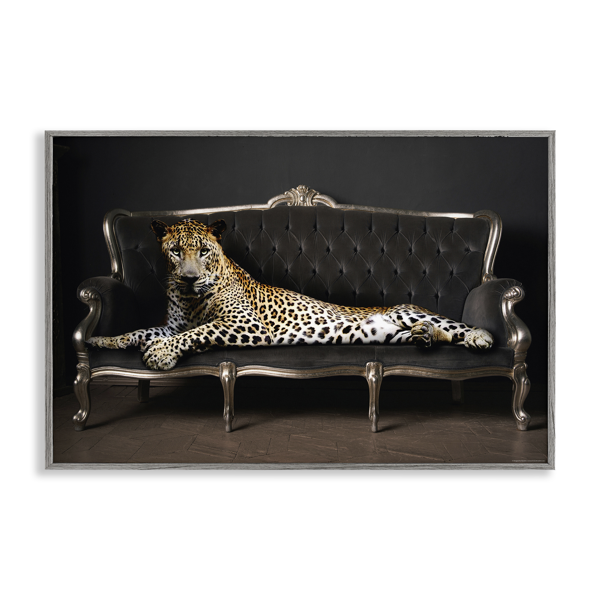 Stupell Industries Cheetah Sprawled on Couch Animals Painting Gray Framed Art Print Wall Art, 24 x 16