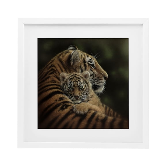 Stupell Industries Cherished Tiger Cub White Framed Print Under Glass design by Collin Bogle, 16 x 16