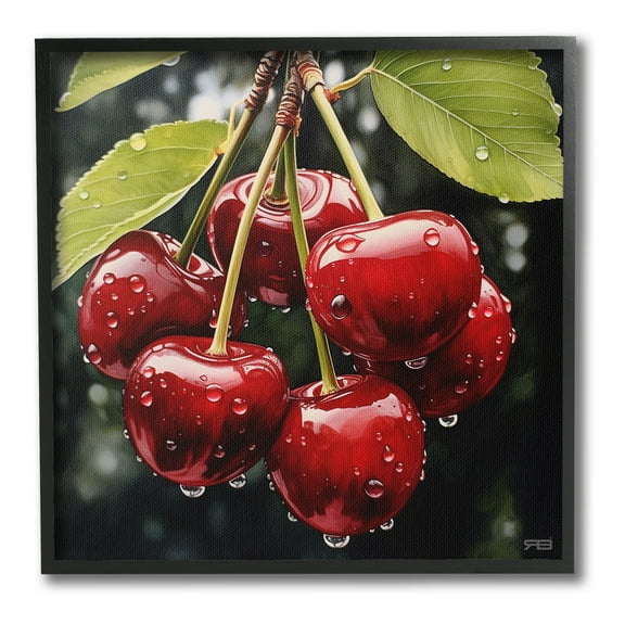 Stupell Industries Cherries with Water Droplets Food & Beverage Painting Black Framed Art Print Wall Art, 12 x 12