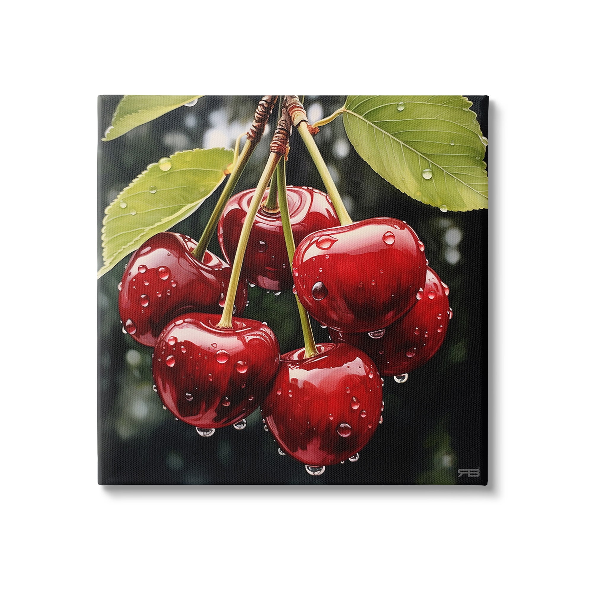 Stupell Industries Cherries with Water Droplets Food & Beverage Painting Gallery Wrapped Canvas Art Print Wall Art, 24 x 24