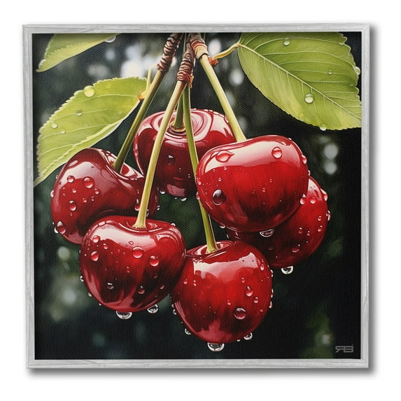 Stupell Industries Cherries with Water Droplets Food & Beverage Painting Gray Framed Art Print Wall Art, 24 x 24