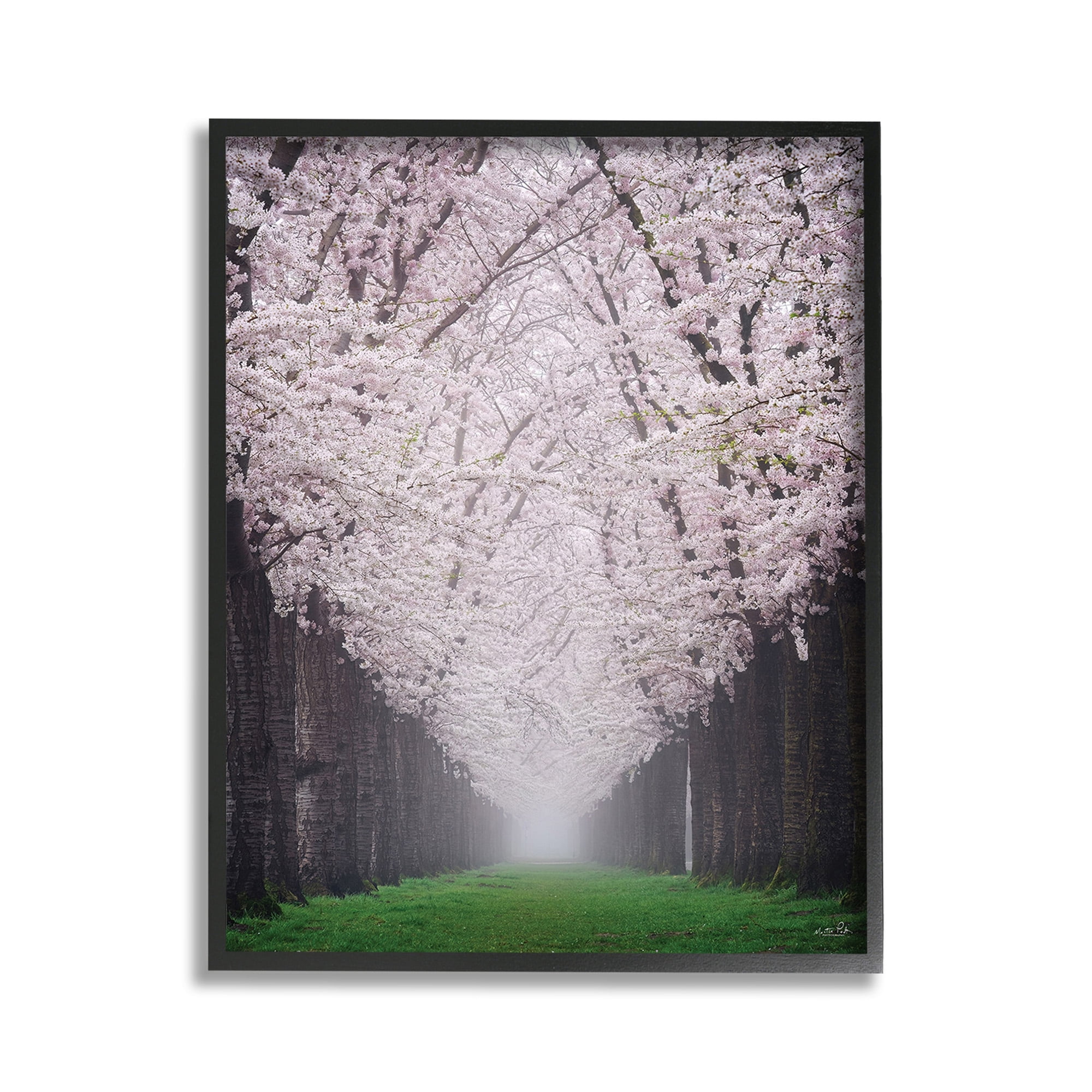 Stupell Industries Cherry Blossom Grove Landscape Photography Black Framed Art Print Wall Art, 11 x 14
