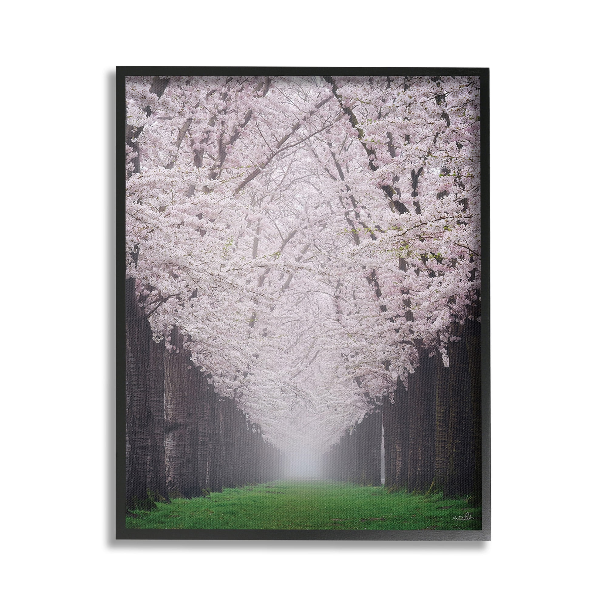 Stupell Industries Cherry Blossom Grove Landscape Photography Black Framed Art Print Wall Art, 16 x 20