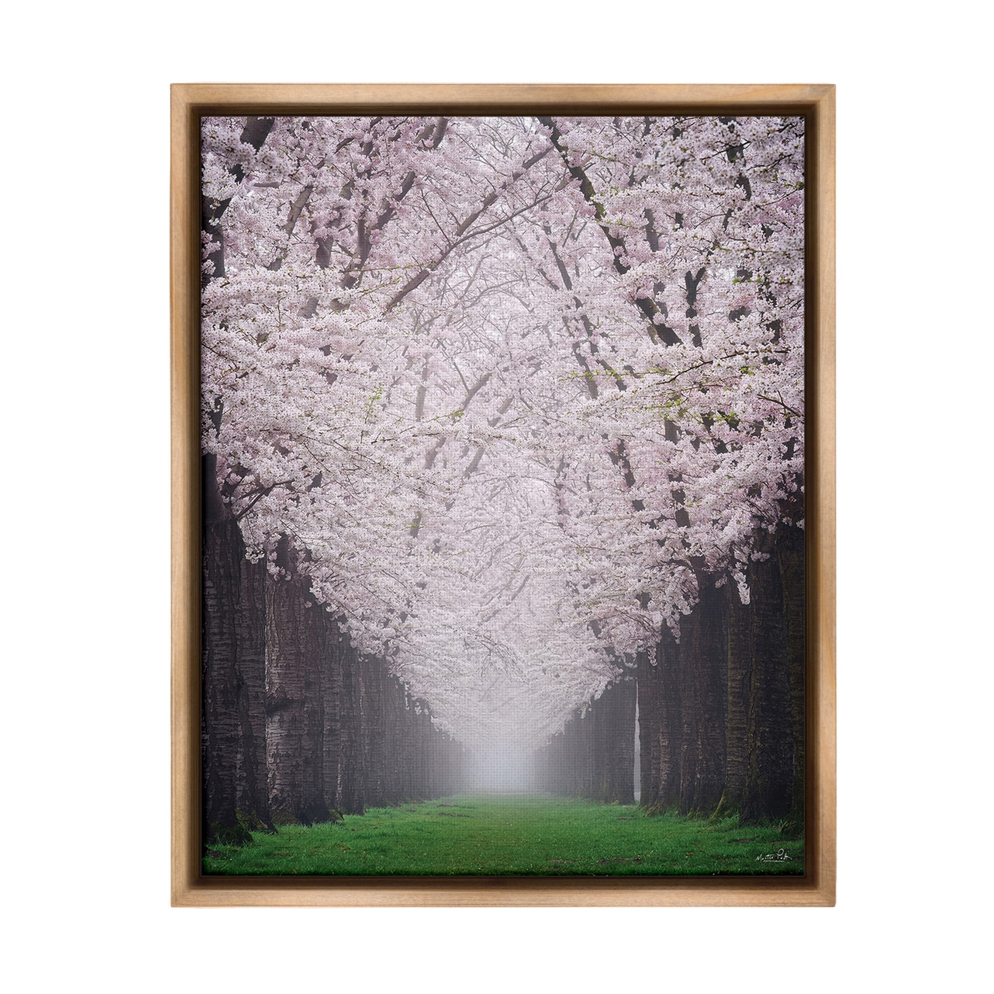 Stupell Industries Cherry Blossom Grove Landscape Photography Brown Floater Framed Canvas Art Print Wall Art, 17 x 21