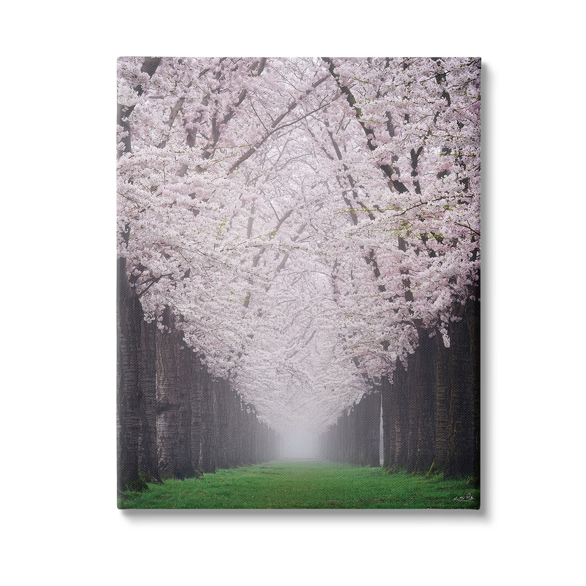 Stupell Industries Cherry Blossom Grove Landscape Photography Gallery Wrapped Canvas Art Print Wall Art, 36 x 48