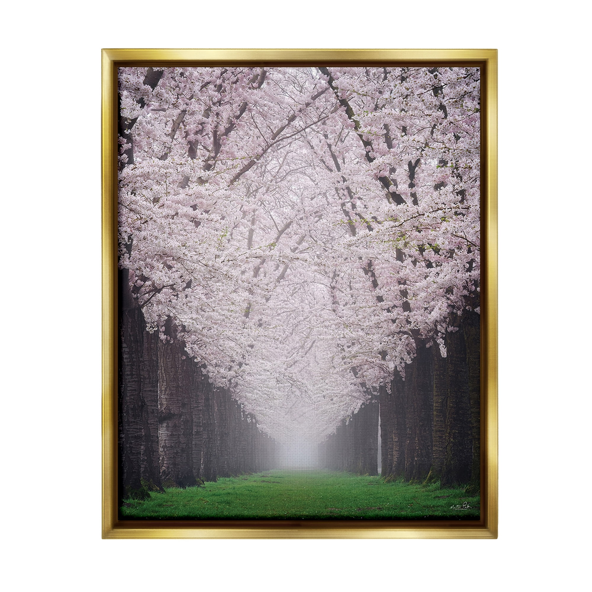 Stupell Industries Cherry Blossom Grove Landscape Photography Gold Floater Framed Canvas Art Print Wall Art, 25 x 31