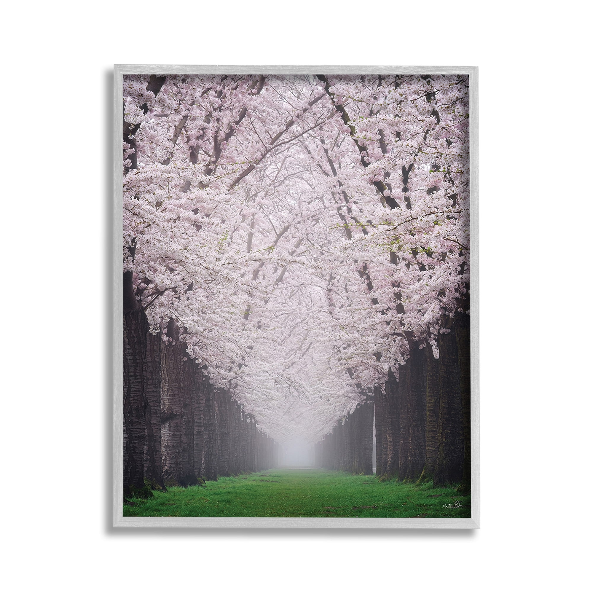 Stupell Industries Cherry Blossom Grove Landscape Photography Gray Framed Art Print Wall Art, 11 x 14