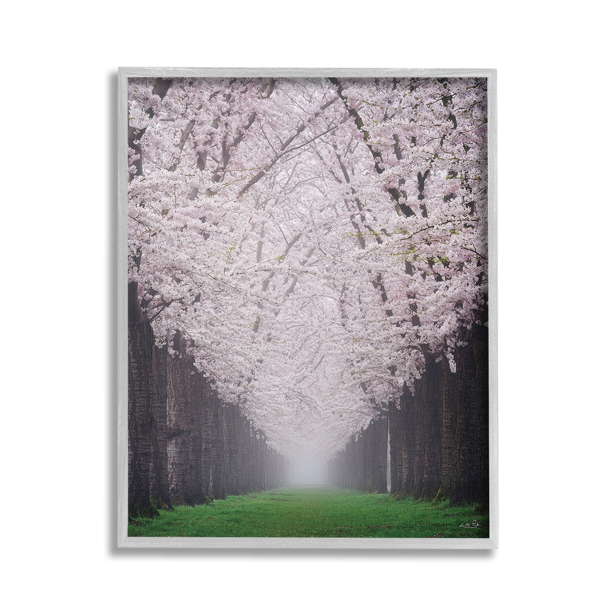 Stupell Industries Cherry Blossom Grove Landscape Photography Gray Framed Art Print Wall Art, 16 x 20