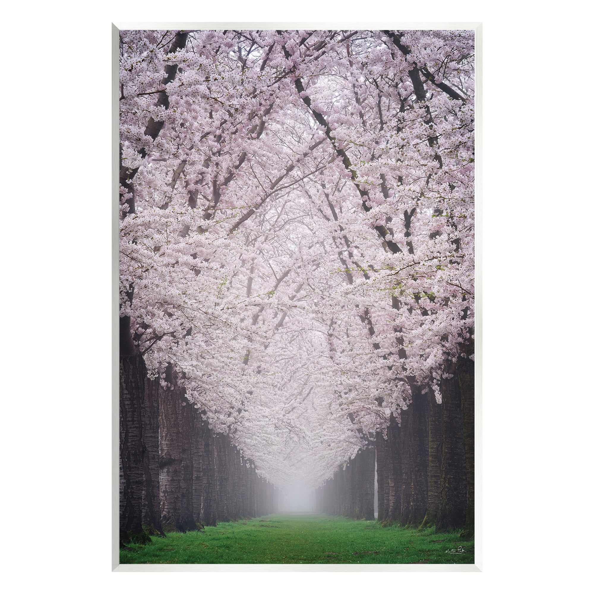Stupell Industries Cherry Blossom Grove Landscape Photography Unframed Art Print Wall Art, 13 x 19