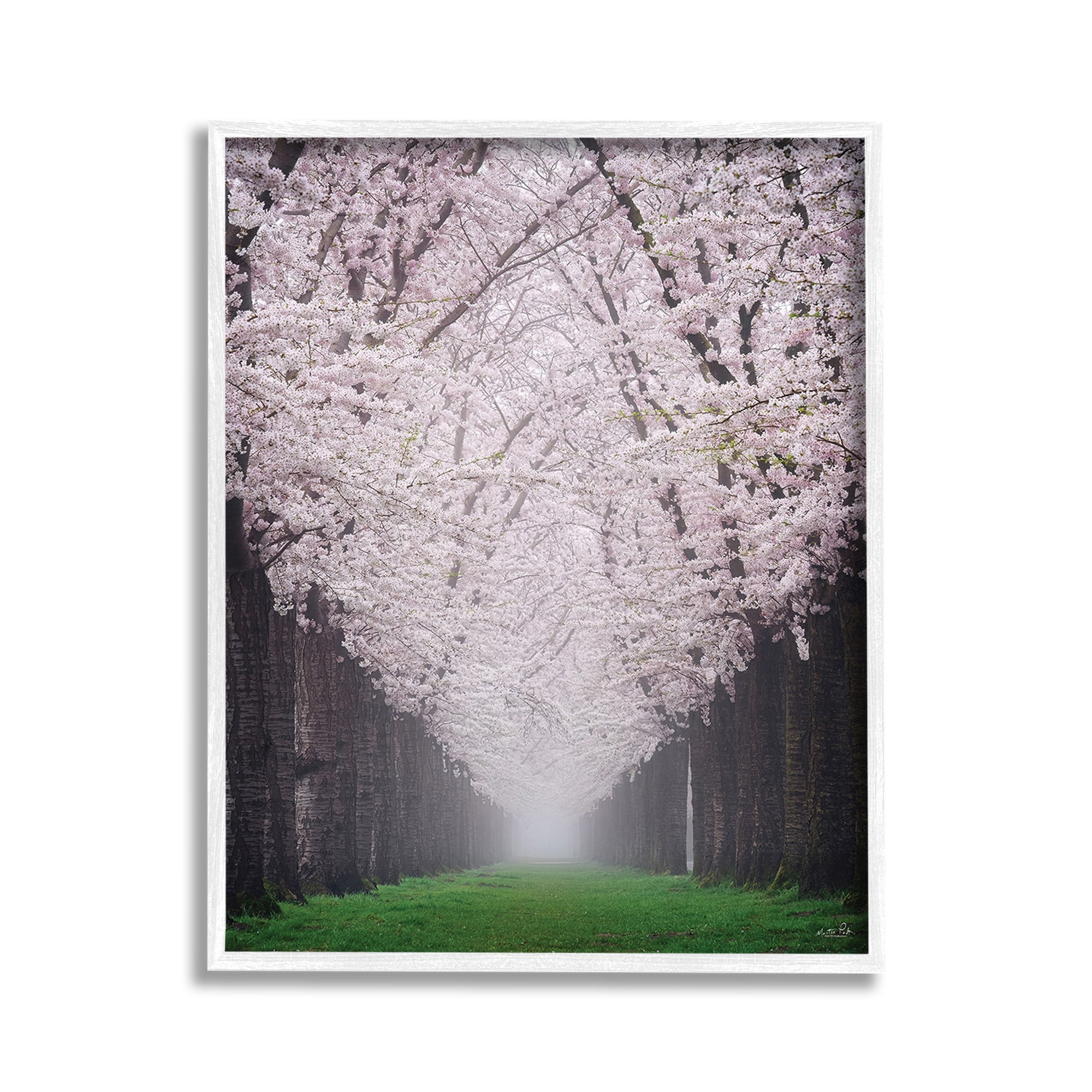 Stupell Industries Cherry Blossom Grove Landscape Photography White Framed Art Print Wall Art, 11 x 14