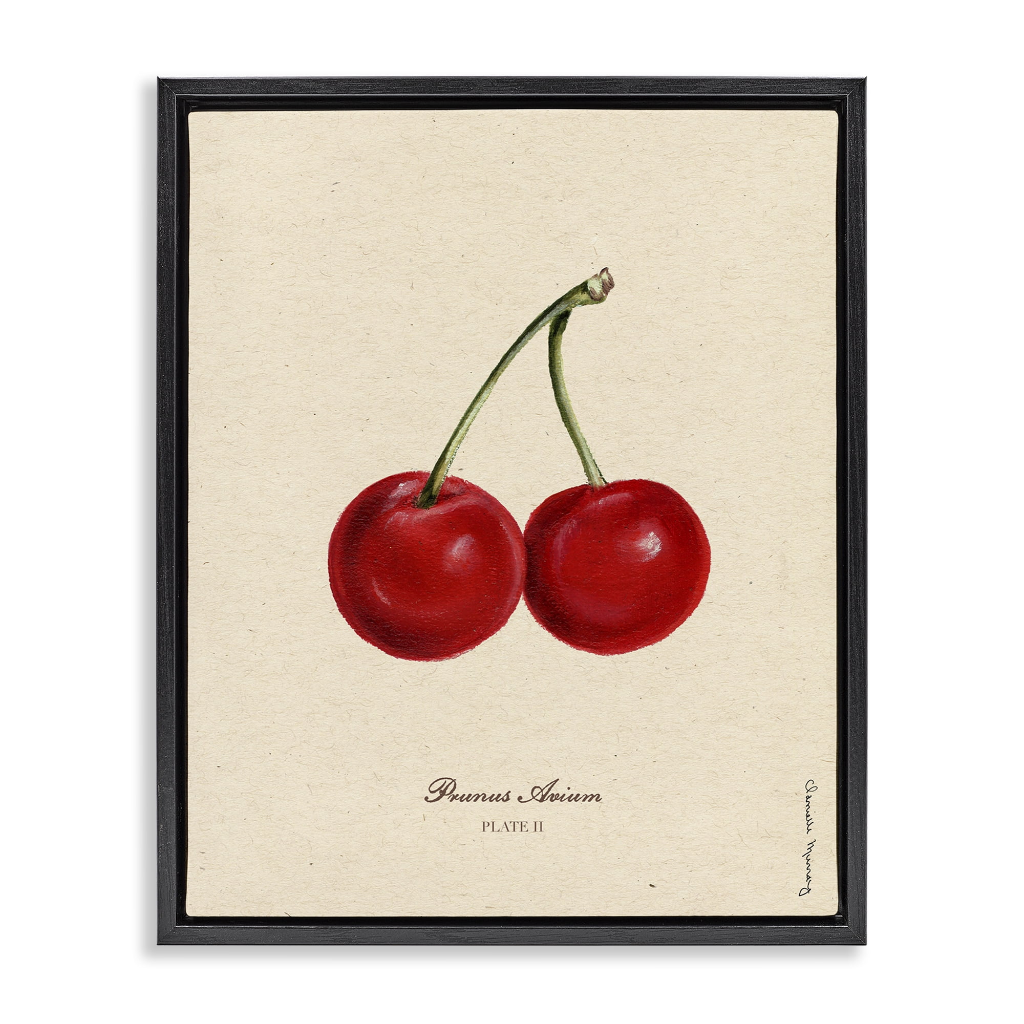 Stupell Industries Cherry Fruit Portrait Black Framed Floater Canvas Wall Art, design by Danielle Murray