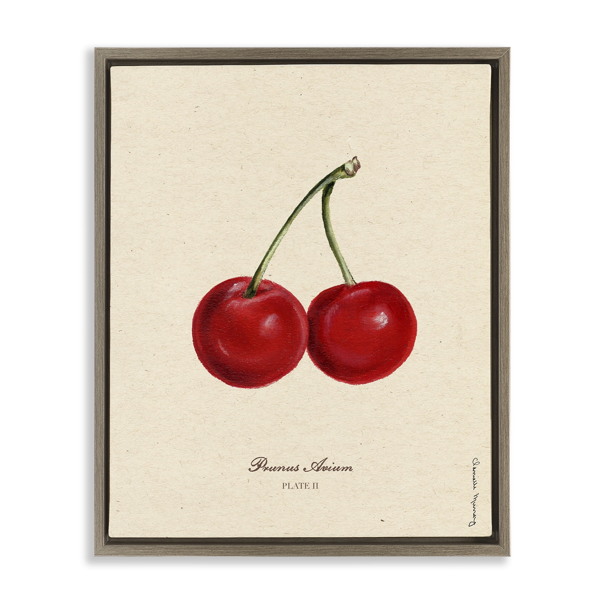 Stupell Industries Cherry Fruit Portrait Brown Framed Floater Canvas Wall Art, design by Danielle Murray