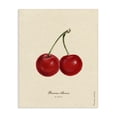 thumbnail image 1 of Stupell Industries Victorian Cherry Fruit Portrait Canvas Art, 30 x 40, by Danielle Murray, 1 of 8