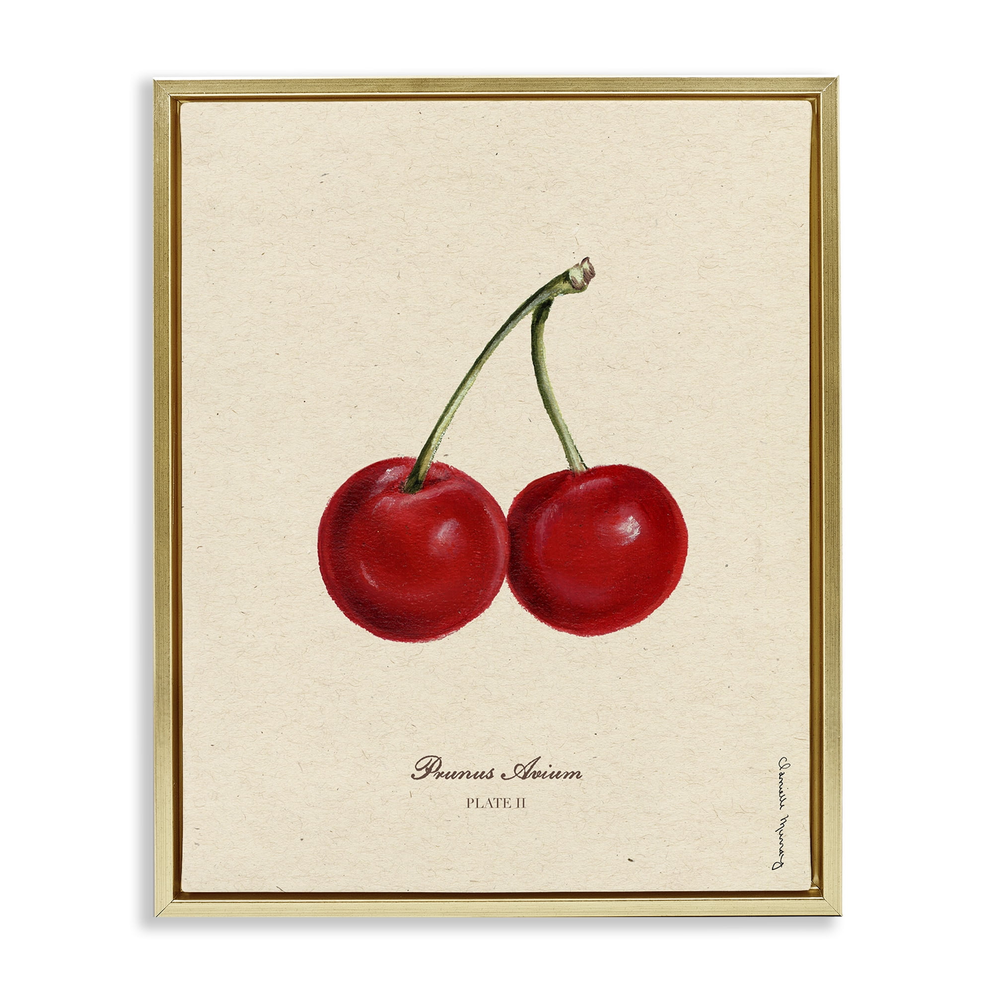 Stupell Industries Cherry Fruit Portrait Gold Framed Floater Canvas Wall Art, design by Danielle Murray