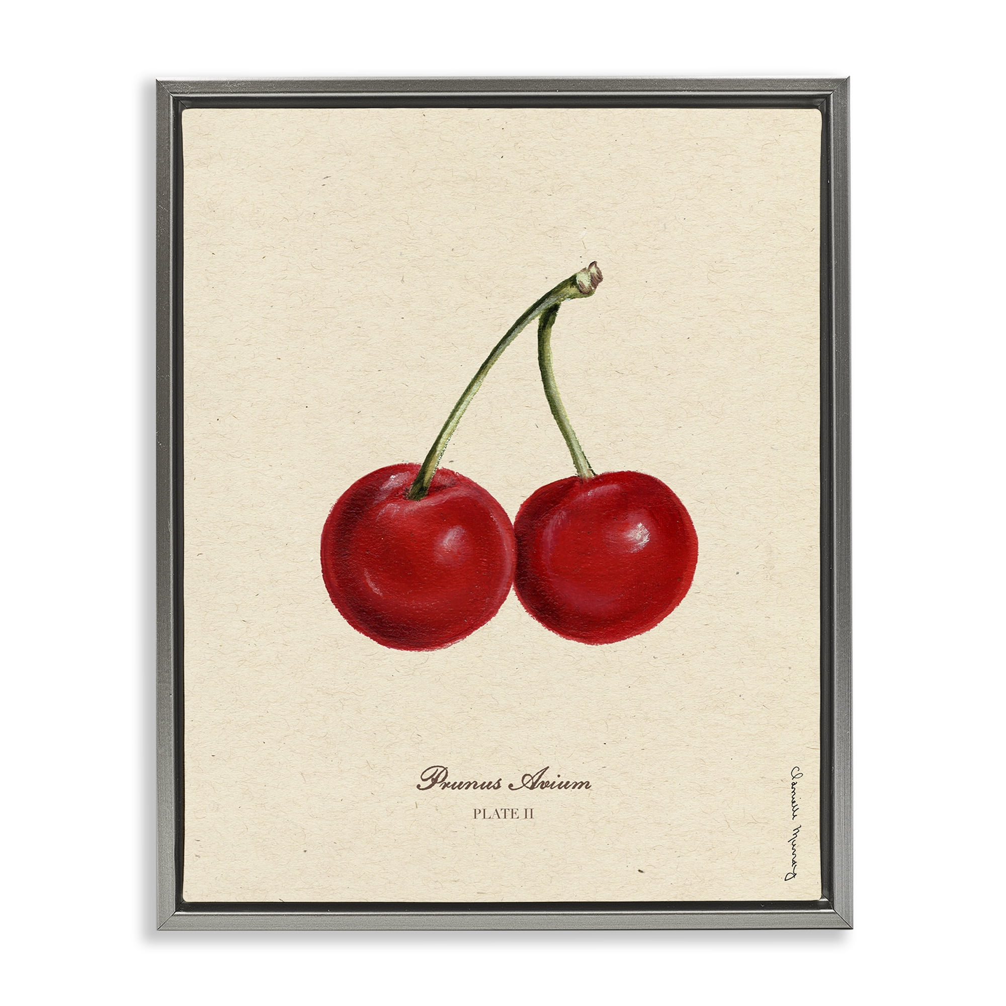 Stupell Industries Cherry Fruit Portrait Gray Framed Floater Canvas Wall Art, design by Danielle Murray