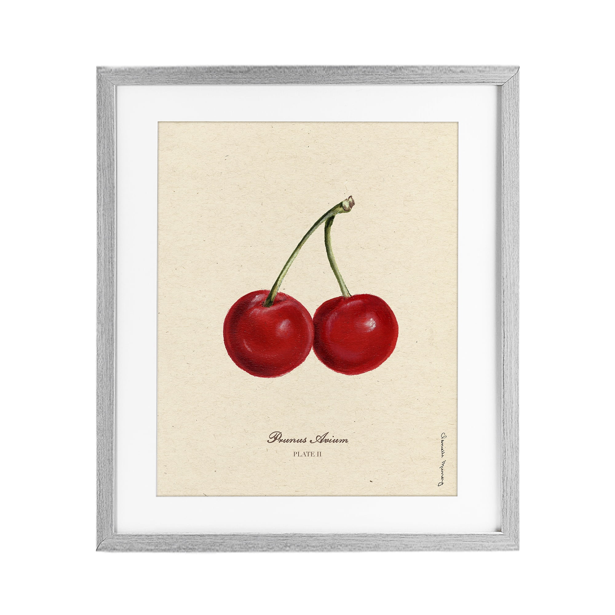 Stupell Industries Cherry Fruit Portrait Gray Framed Print Under Glass, design by Danielle Murray