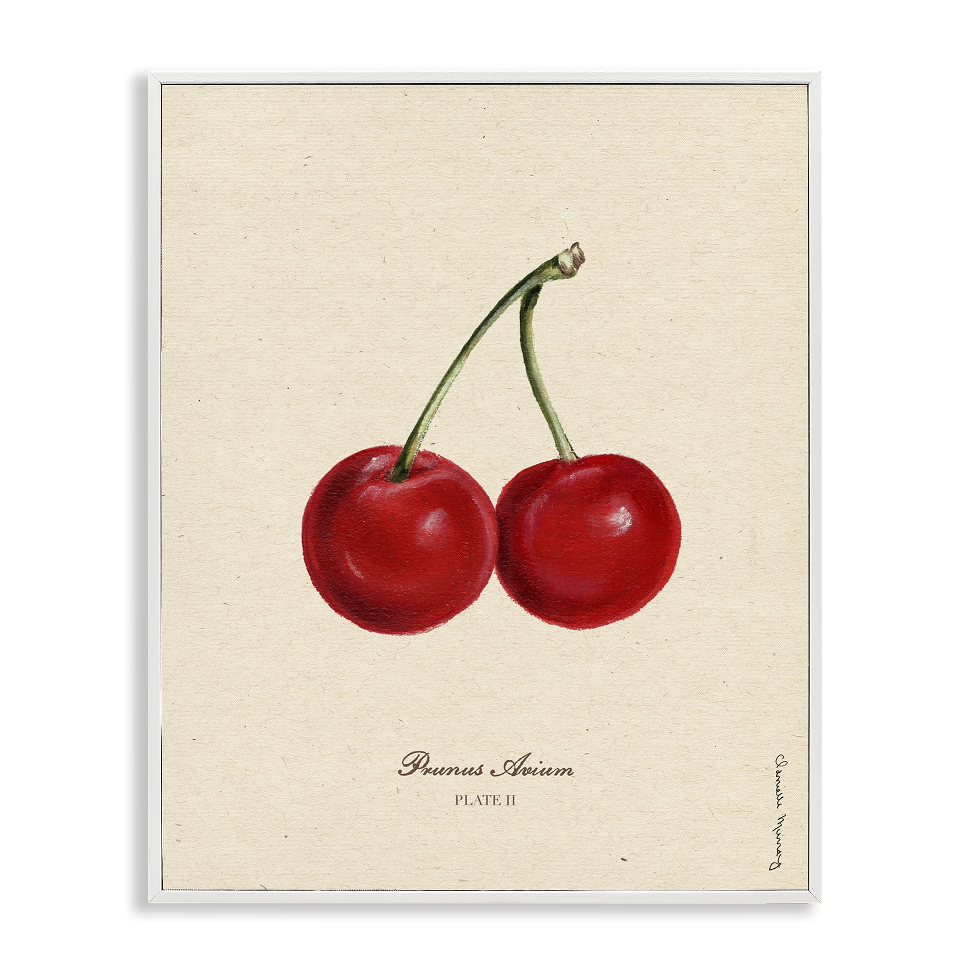 Stupell Industries Cherry Fruit Portrait White Framed Giclee Art, design by Danielle Murray