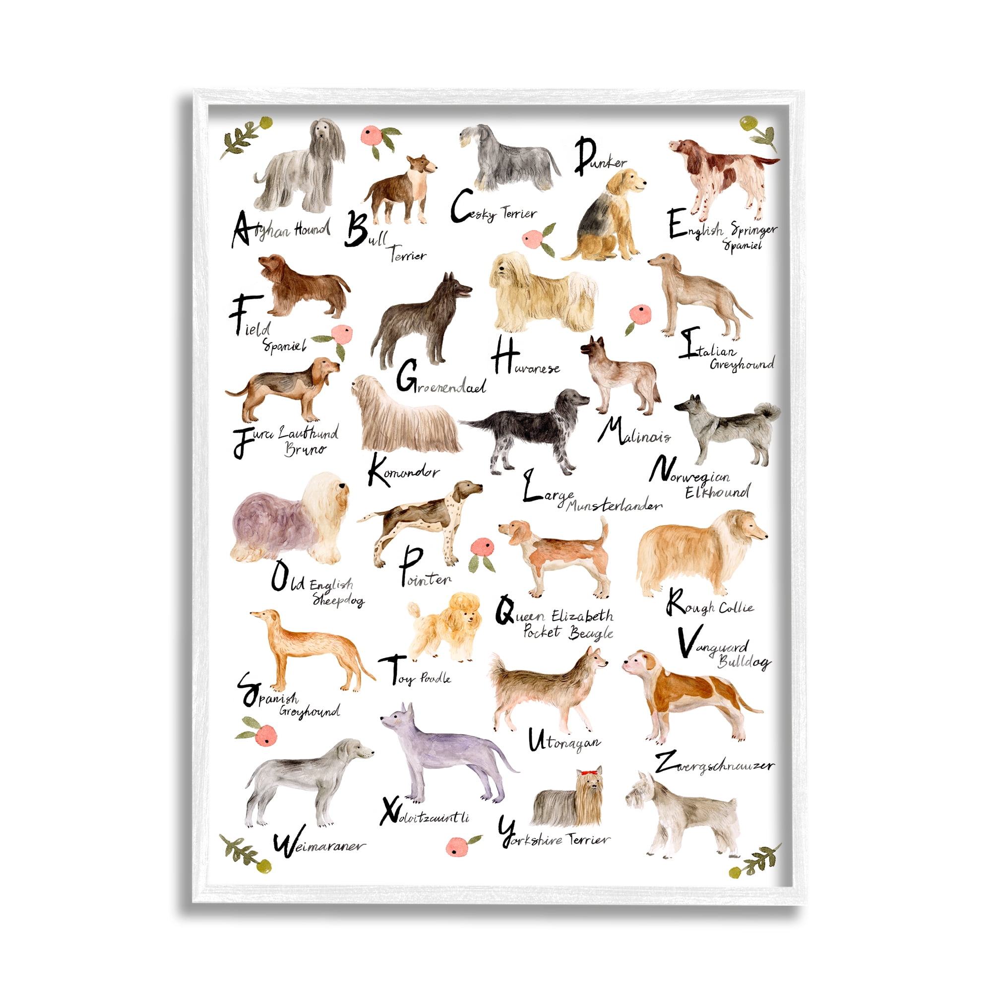 Stupell Industries Chic Alphabet of Dogs with Floral Detail, 11 x 14,Design by Melissa Wang