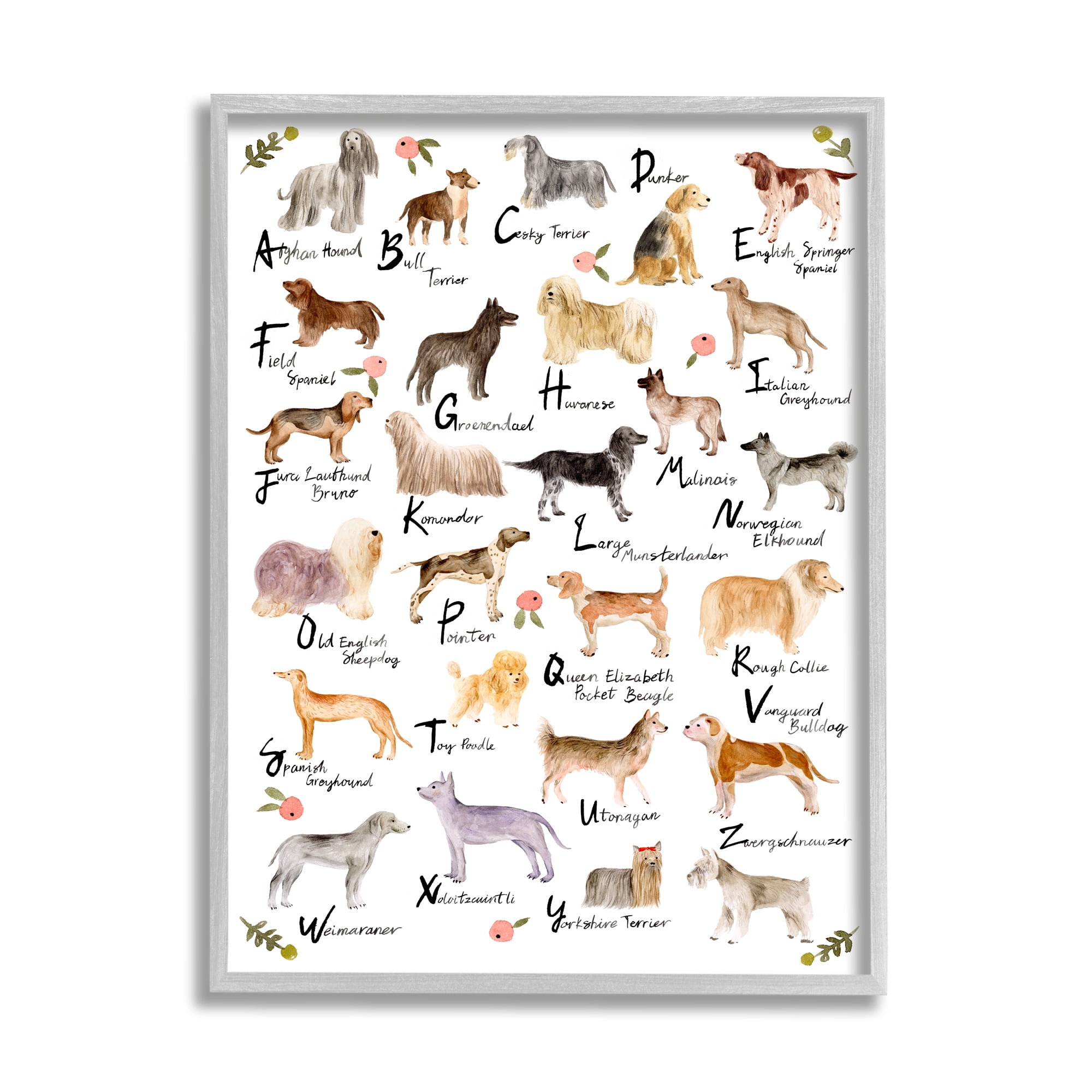 Stupell Industries Chic Alphabet of Dogs with Floral Detail, 24 x 30,Design by Melissa Wang