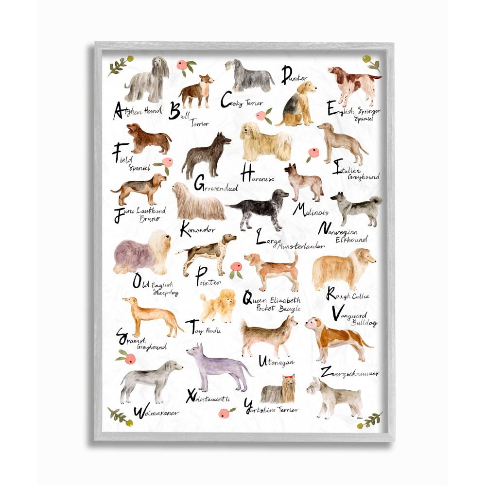 Stupell Industries Chic Alphabet of Dogs with Floral Detail Designed by Melissa Want