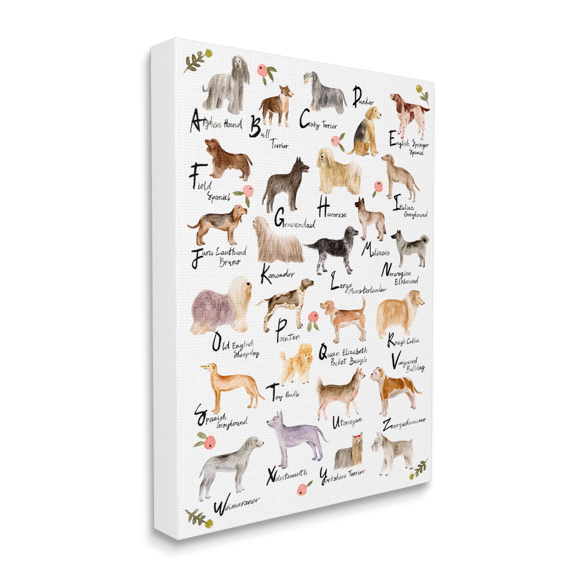 Stupell Industries Chic Alphabet of Dogs with Floral Detail Designed by Melissa Want