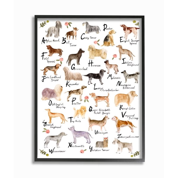 Stupell Industries Chic Alphabet of Dogs with Floral Detail Designed by Melissa Want