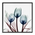 thumbnail image 1 of Stupell Industries Modern Chic Blue Translucent Tulips Black Framed Giclee Art, 17 x 17, by Albert Koetsier, 1 of 7