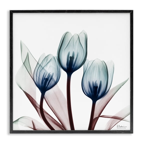 Stupell Industries Modern Chic Blue Translucent Tulips Black Framed Giclee Art, 17 x 17, by Albert Koetsier