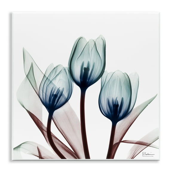 Stupell Industries Chic Blue Translucent Tulips Floral Photography Unframed Art Print Wall Art, 12 x 12