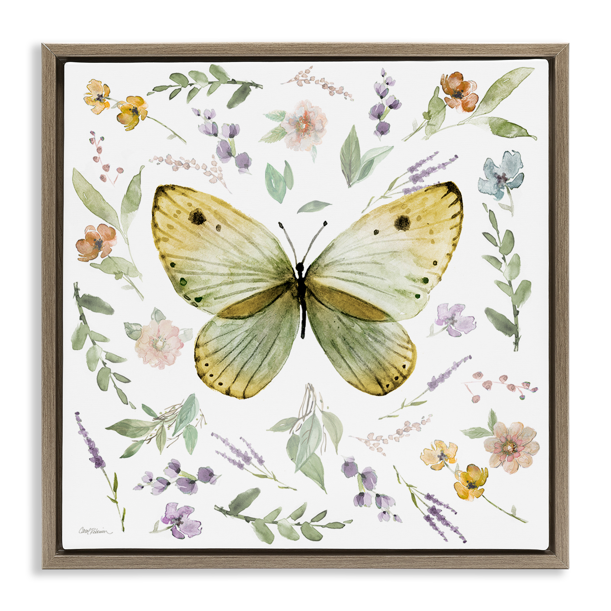 Stupell Industries Chic Cottage Butterfly Animals Painting Brown Floater Framed Canvas Art Print Wall Art, 25 x 25