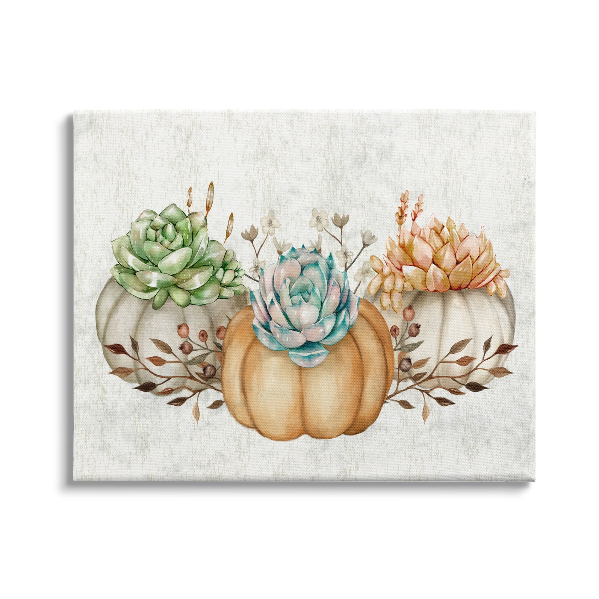 Stupell Industries Chic Pumpkin Succulent Trio Autumn Boho Vegetables, 20 x 16,Design by Ziwei Li