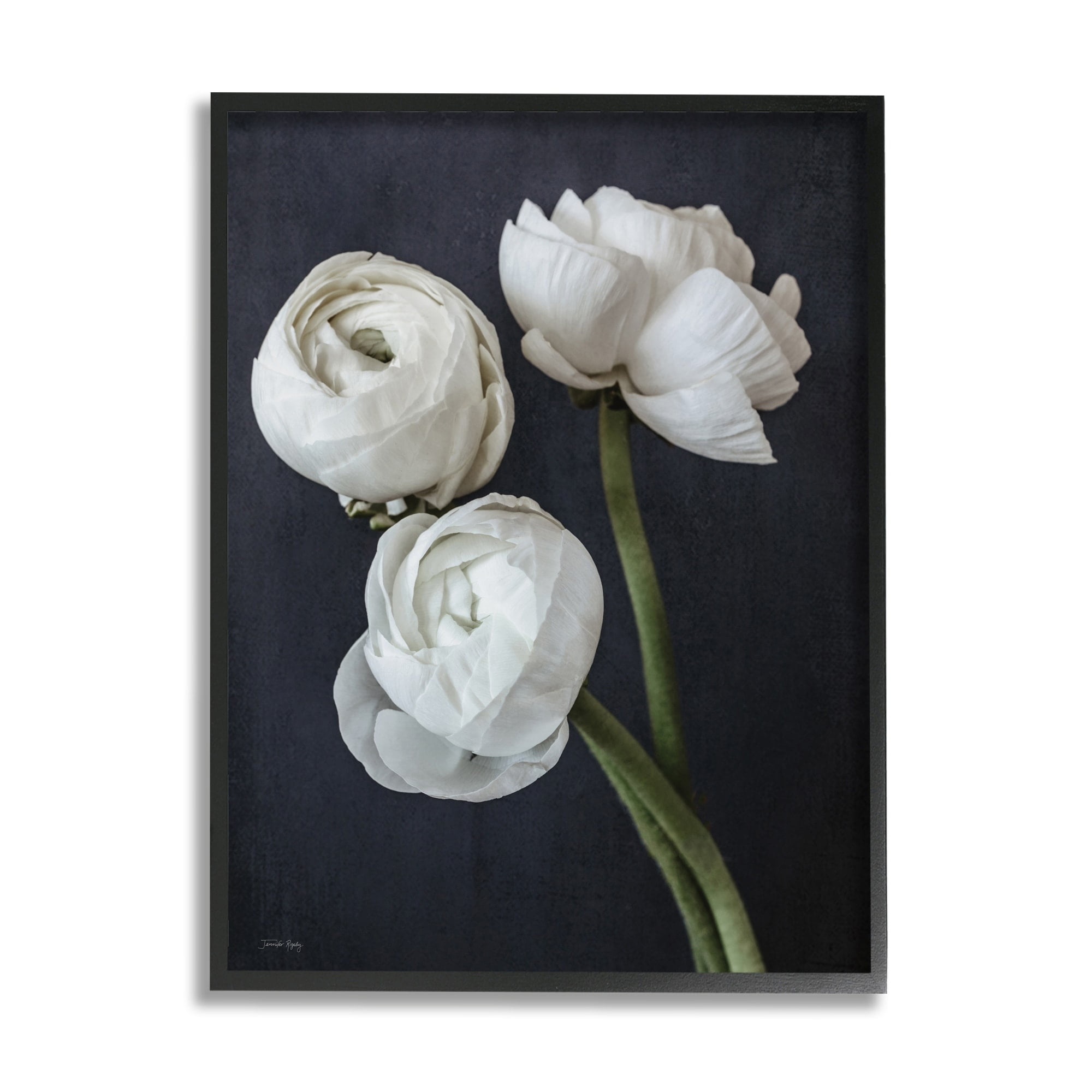 Stupell Industries Chic Ranunculus Flower Blossoms Modern Arrangement Photograph Black Framed Art Print Wall Art, Design by Jennifer Rigsby