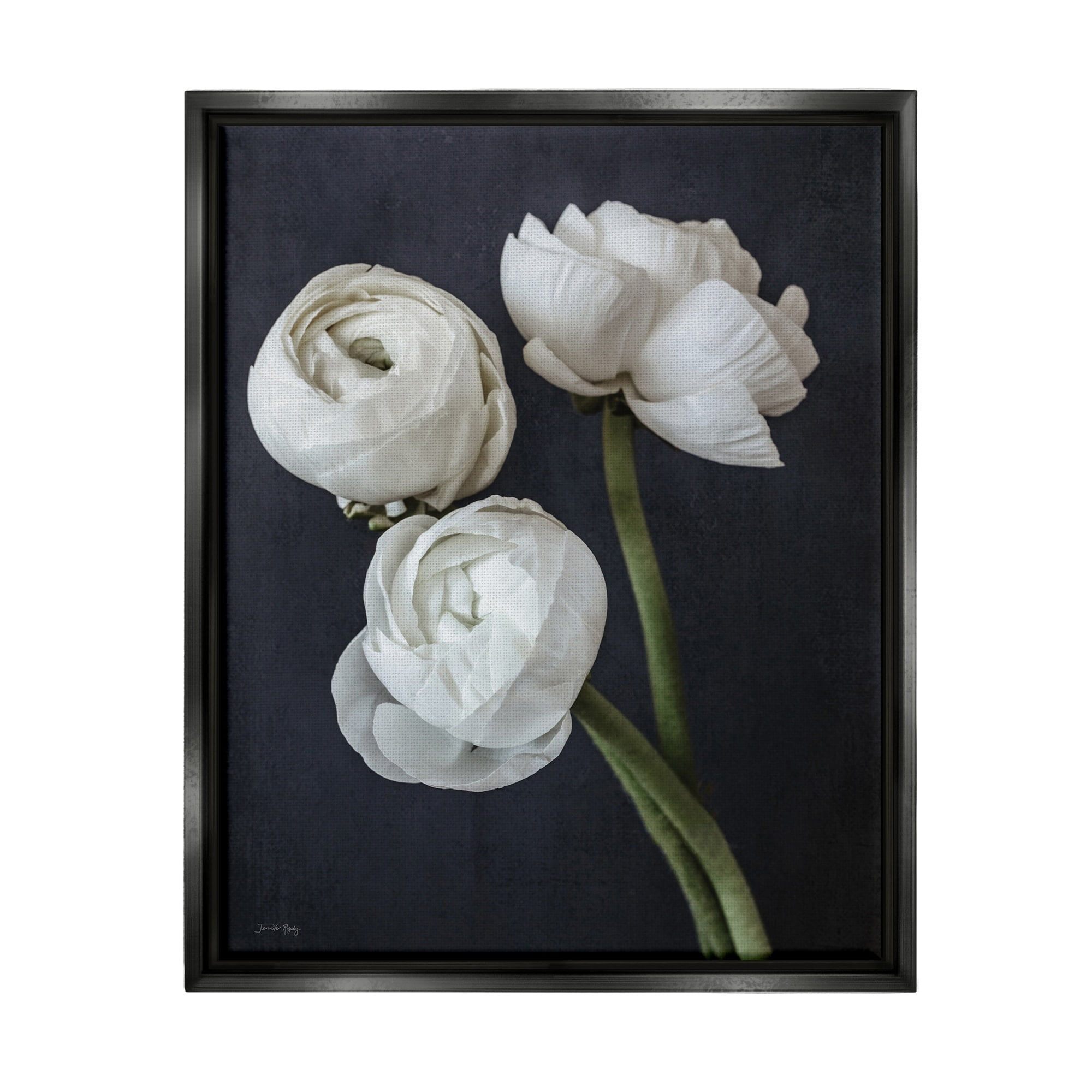 Stupell Industries Chic Ranunculus Flower Blossoms Modern Arrangement Photograph Jet Black Floating Framed Canvas Print Wall Art, Design by Jennifer Rigsby