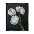 thumbnail image 1 of Stupell Industries Chic Ranunculus Flower Blossoms Modern Arrangement Photograph Jet Black Floating Framed Canvas Print Wall Art, Design by Jennifer Rigsby, 1 of 5