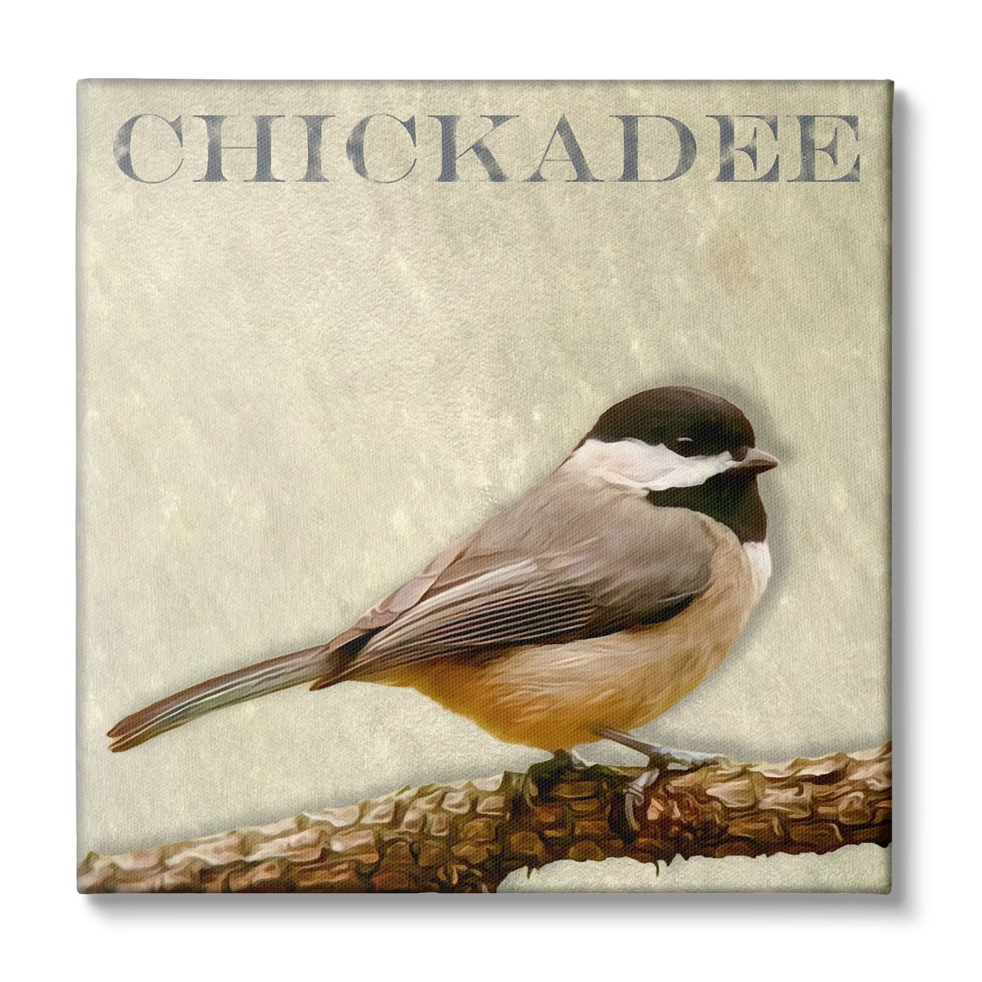 Stupell Industries Chickadee Bird Tree Branch Text Illustration Canvas Wall Art, 30 x 30, Design by Alpenglow Workshop