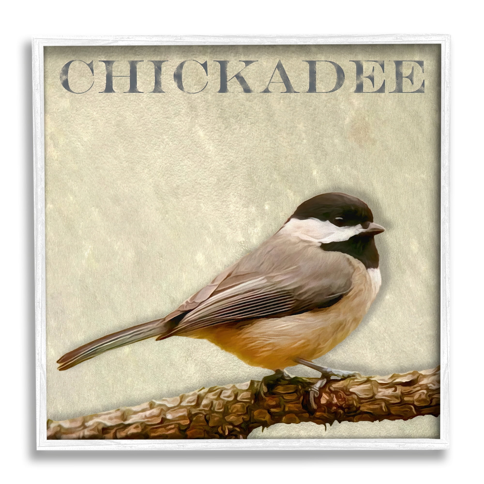 Stupell Industries Chickadee Bird Tree Branch Text Illustration Framed Wall Art, 12 x 12, Design by Alpenglow Workshop