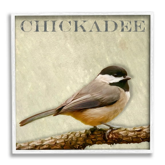 Stupell Industries Chickadee Bird Tree Branch Text Illustration Framed Wall Art, 24 x 24, Design by Alpenglow Workshop