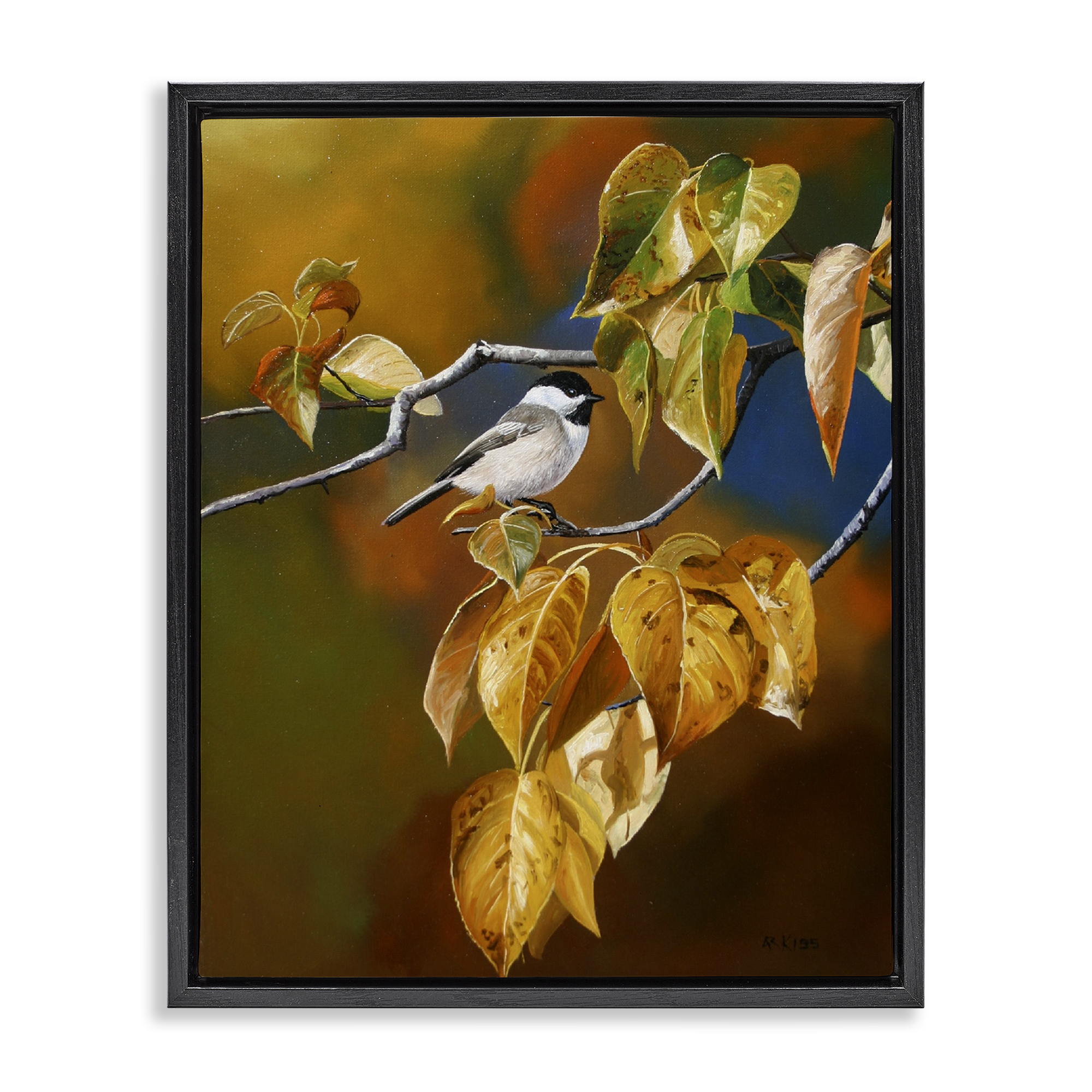 Stupell Industries Chickadee on Branch Animals Painting Black Floater Framed Canvas Art Print Wall Art, 17 x 21