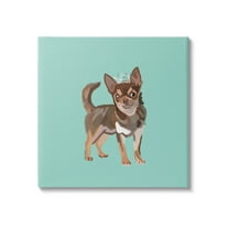 Stupell Industries Chihuahua with Crown Animals & Insects Painting Gallery Wrapped Canvas Art Print Wall Art, 17 x 17
