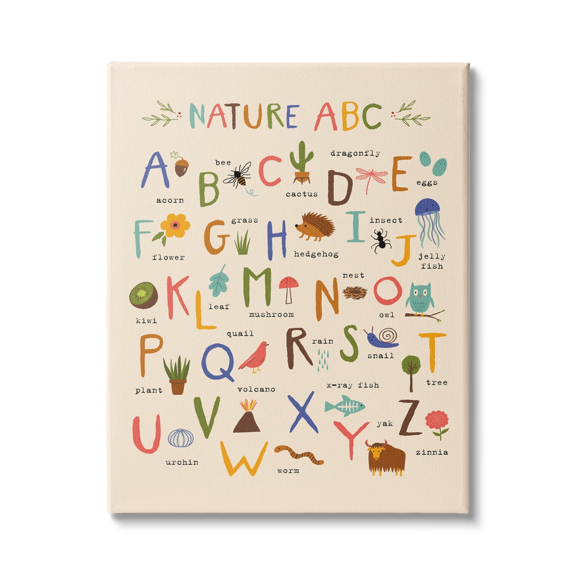 Stupell Industries Children's Nature ABC Diagram Adorable Animal Illustrations, 24 x 30,Design by Nina Seven