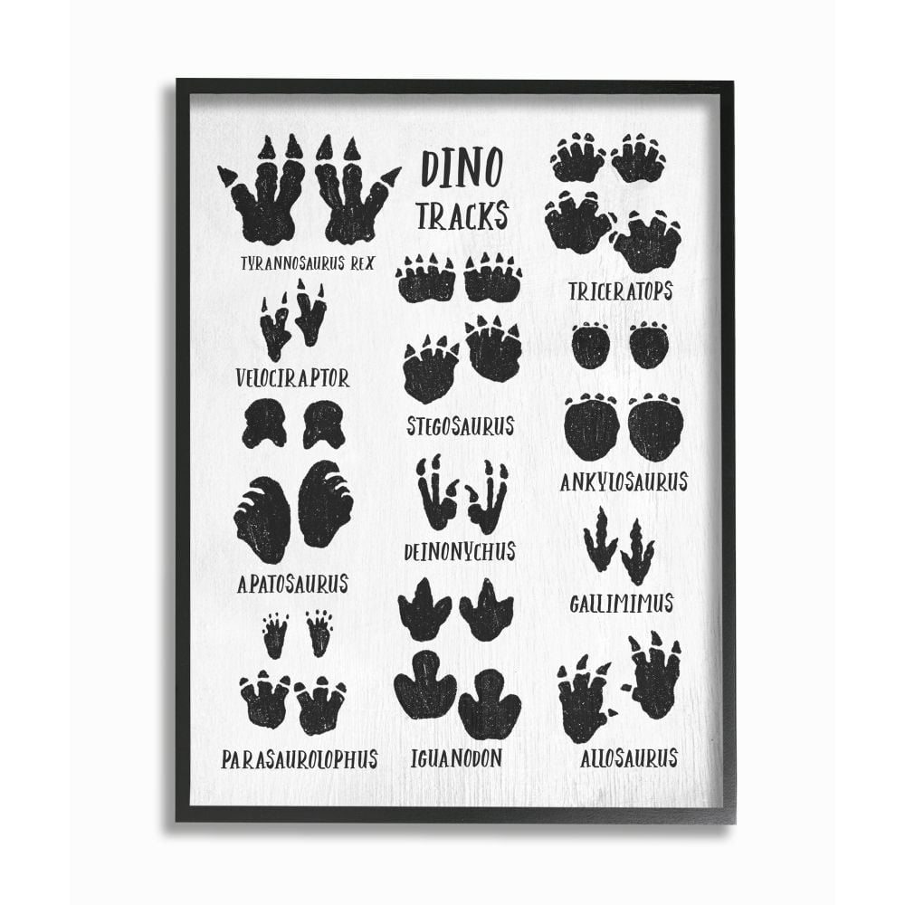 Stupell Industries Children's Rustic Dinosaur Track Chart with Text Framed Wall Art Design by Daphne Polselli, 16" x 20", Black Framed