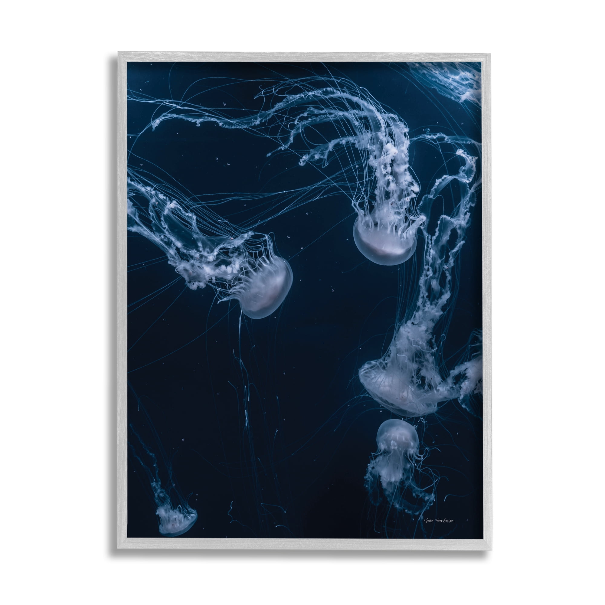 Stupell Industries Chilling Jellyfish Deep Ocean Fluid Marine Life Scene,16 x 20, Design by Seven Trees Design