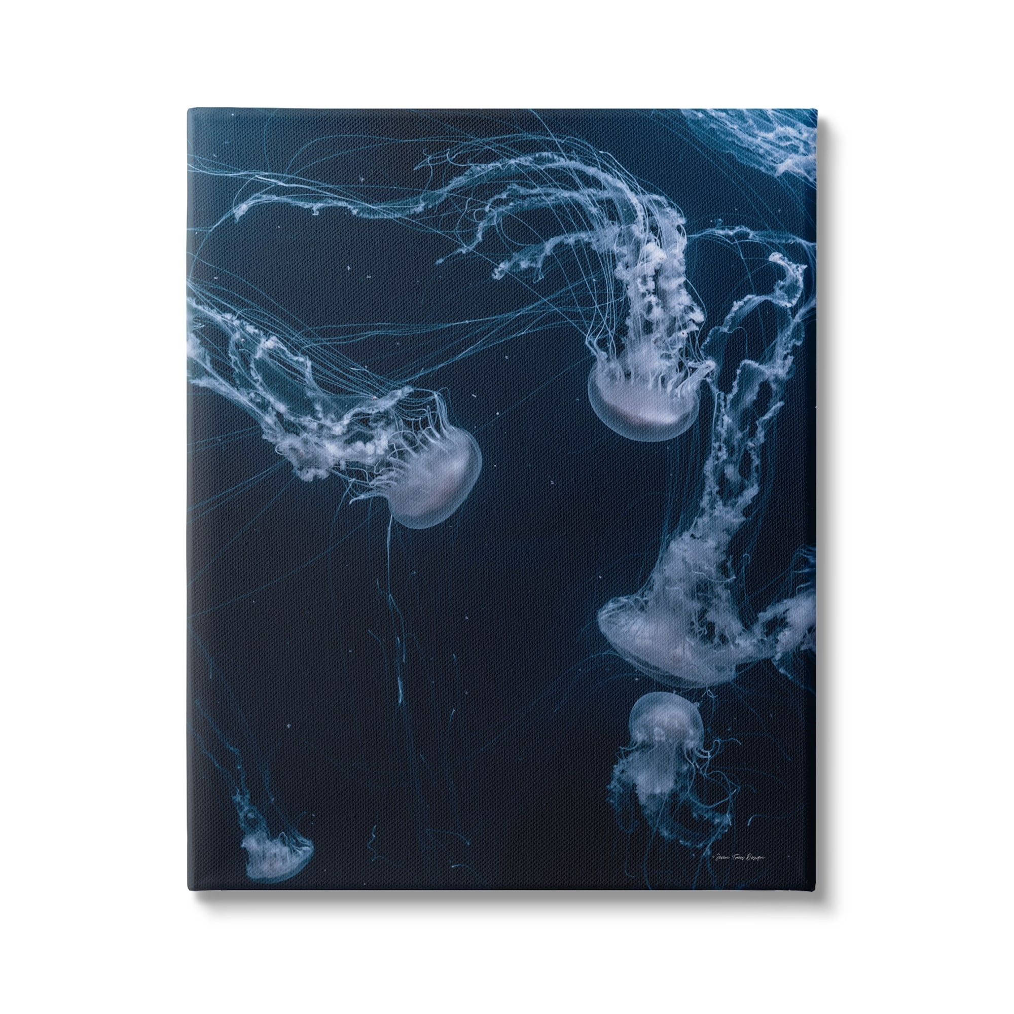 Stupell Industries Chilling Jellyfish Deep Ocean Fluid Marine Life Scene,36 x 48, Design by Seven Trees Design