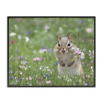 Stupell Industries Chipmunk Picking Flowers Animals & Insects Painting Black Framed Art Print Wall Art, 14 x 11