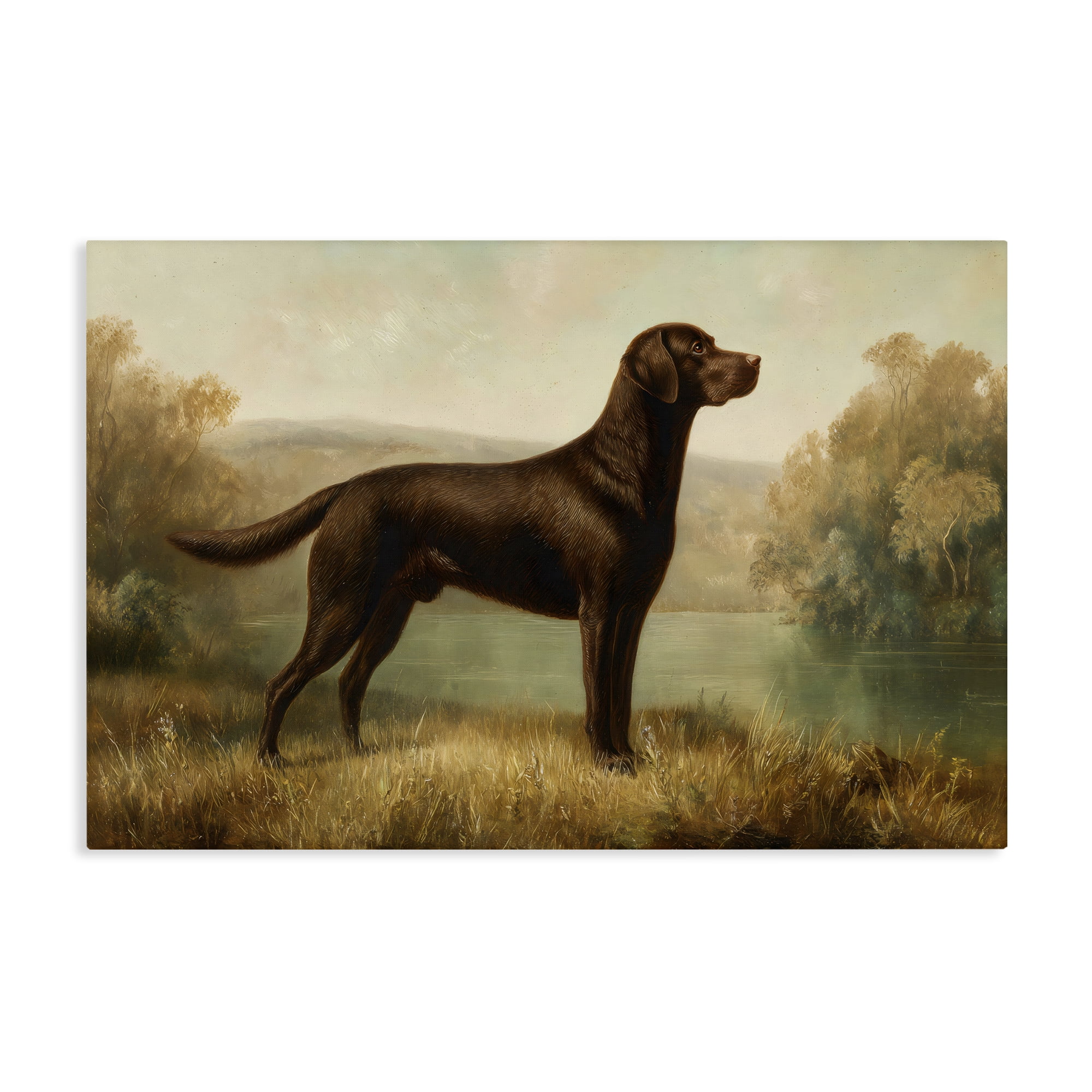 Stupell Industries Chocolate Brown Labrador Canvas Wall Art, design by Petal Prints Design