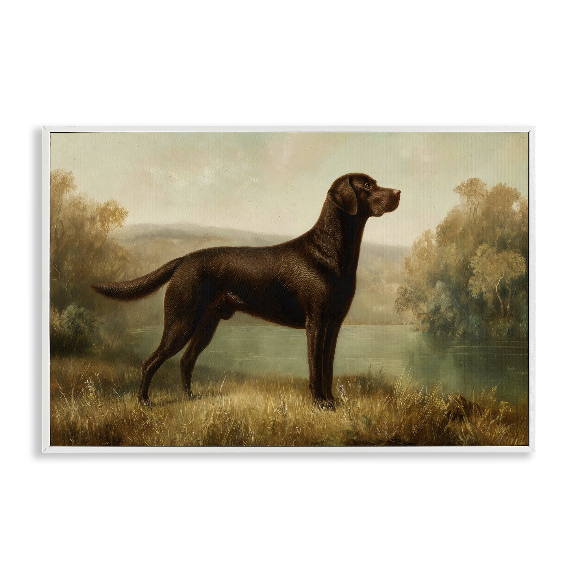 Stupell Industries Chocolate Brown Labrador White Framed Giclee Art, design by Petal Prints Design
