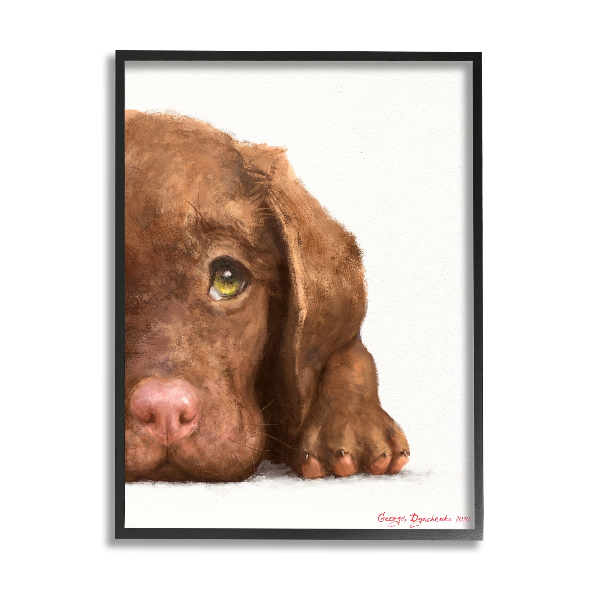 Stupell Industries Chocolate Labrador Puppy Resting Adorable Dog Portrait Black Framed, 11 x 14, Design by George Dyachenko