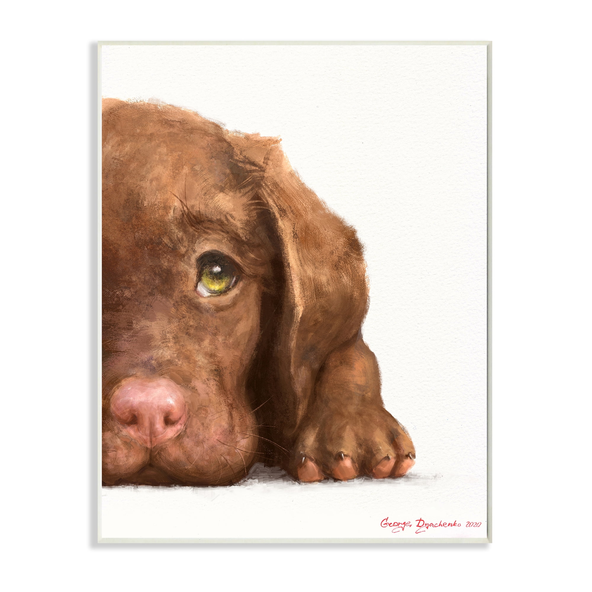 Stupell Industries Chocolate Labrador Puppy Resting Adorable Dog Portrait Wall Plaque, 10 x 15, Design by George Dyachenko