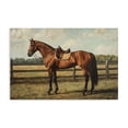 thumbnail image 1 of Stupell Industries French Country Chocolate Stag Saddled in Pasture Canvas Art, 36 x 24, by Petals Prints Design, 1 of 8